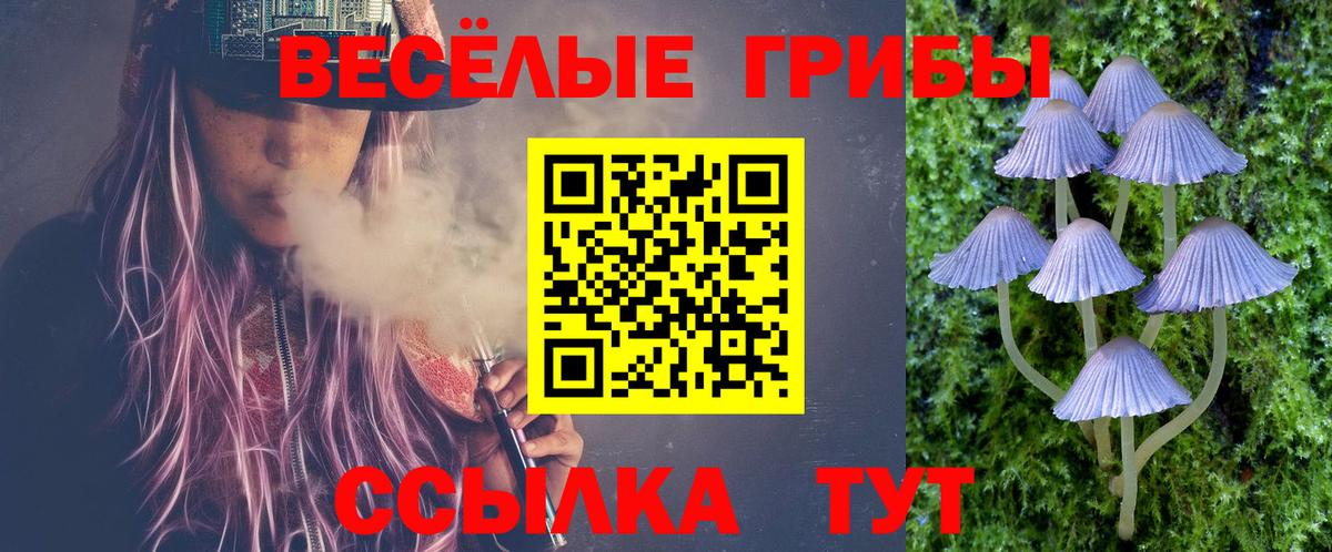 Галлюциногенные грибы ЛСД Старая Купавна